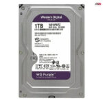 hdd 1tr purple